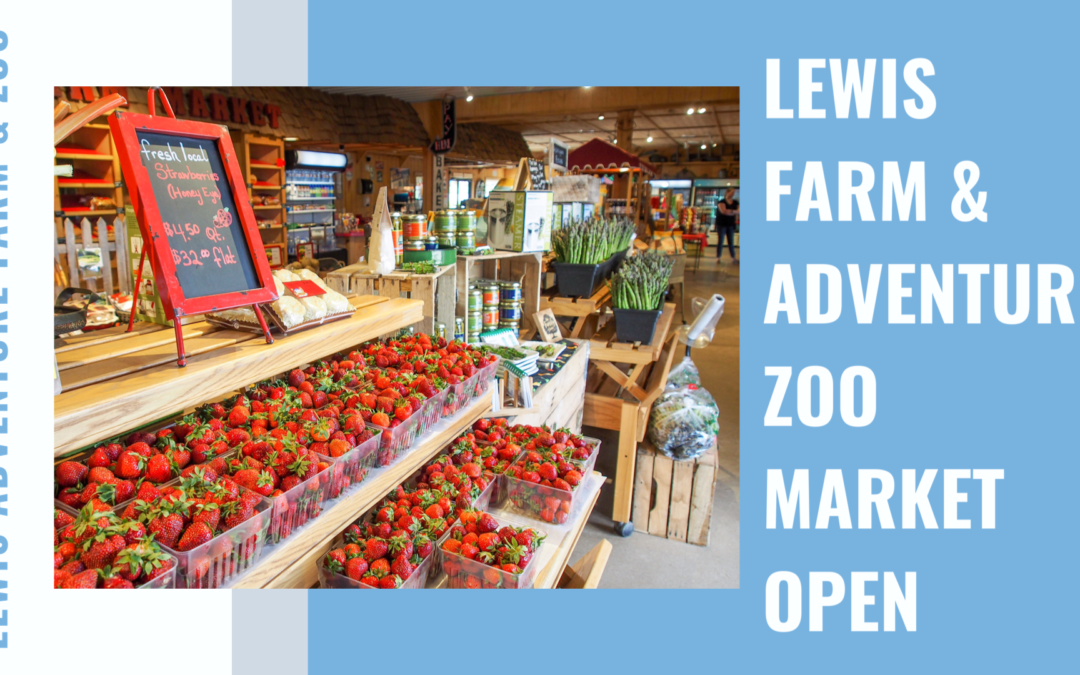 Opening Day for Lewis Adventure Farm & Zoo Market